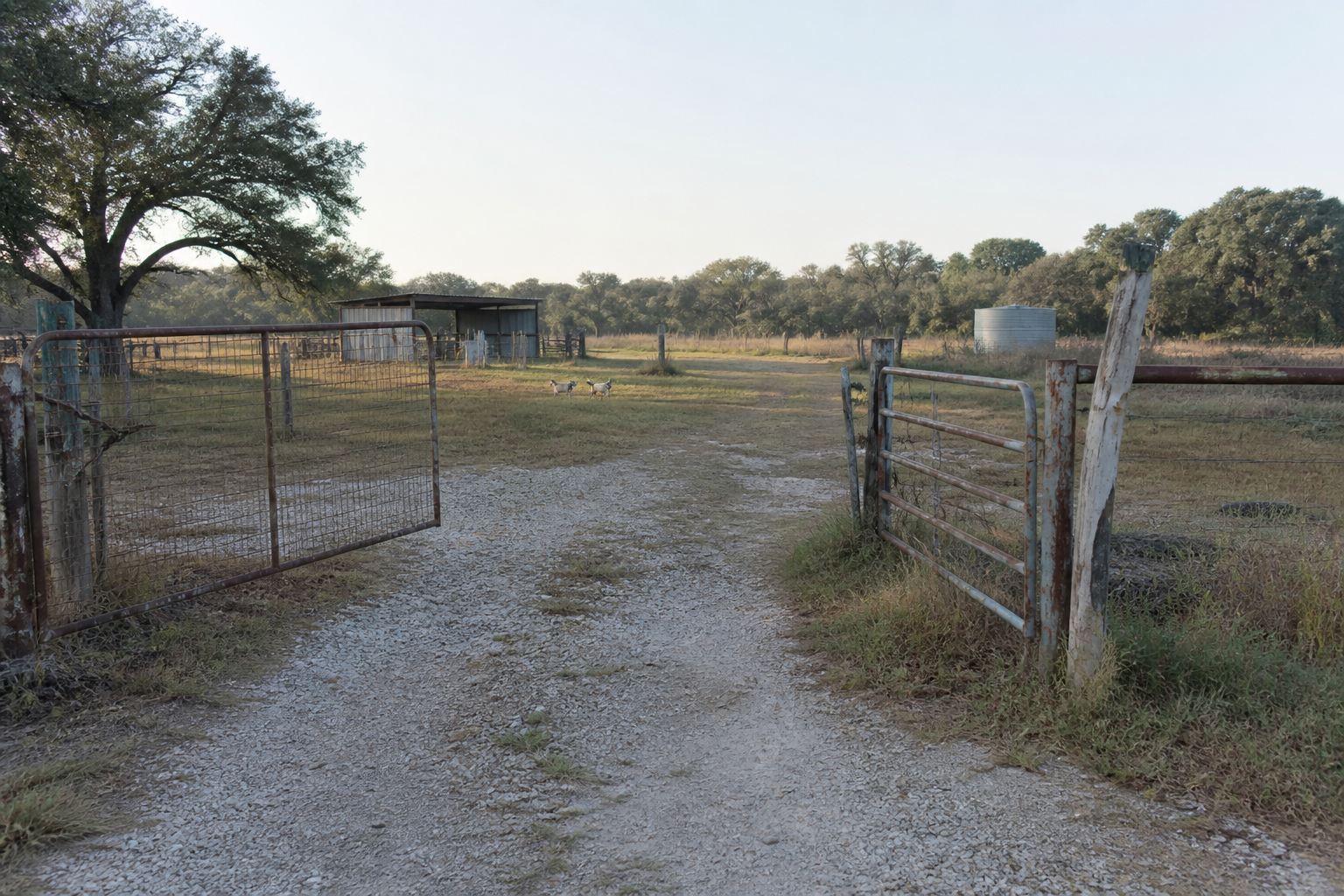The open gate leading into the DNT Farm Fresh Meats farm in Pilot Point, Texas
